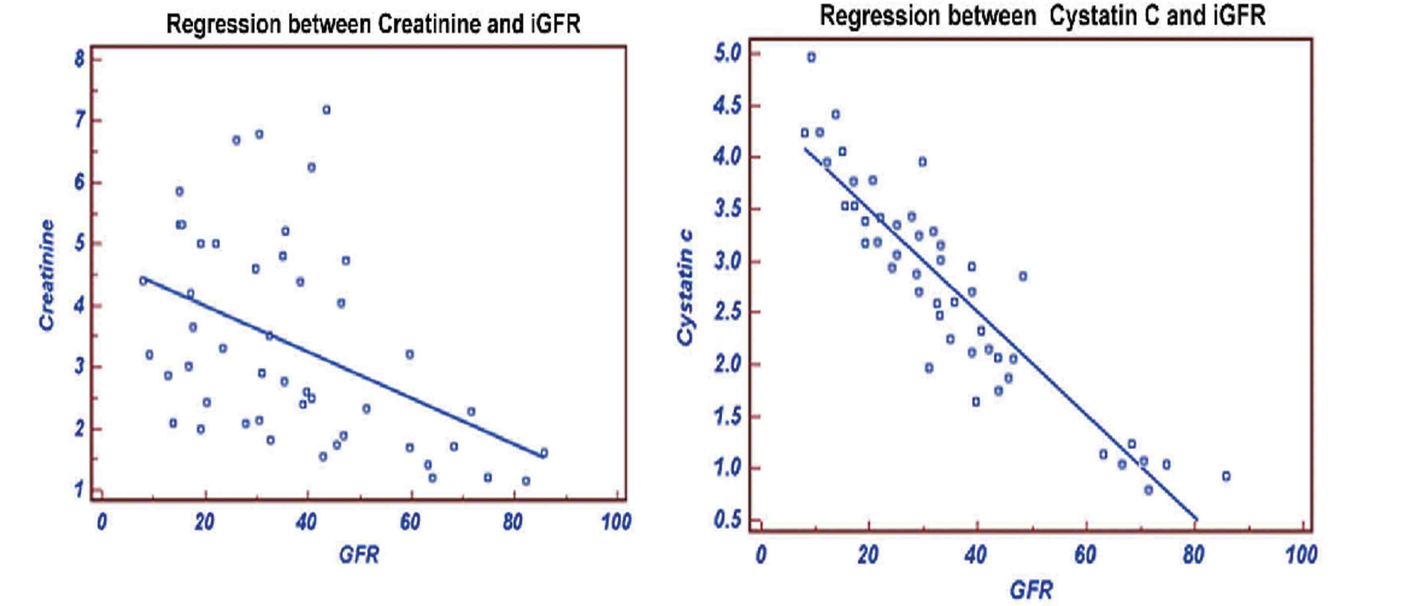 シスタチン c egfr
